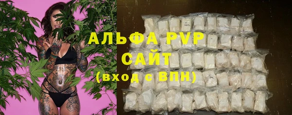 крисы Алексин