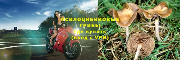крисы Алексин
