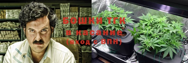 тгк Абаза