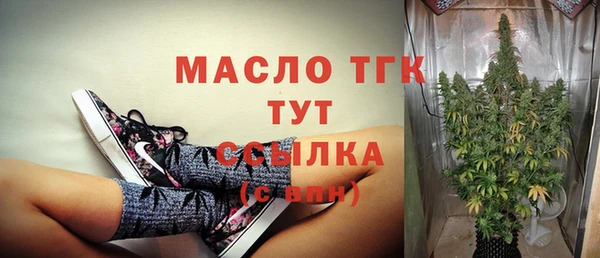 тгк Абаза
