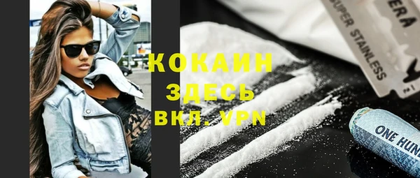 тгк Абаза