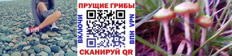 Галлюциногенные грибы Magic Shrooms  хочу   Райчихинск 